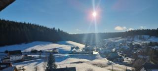 Auerhahn Bed and Breakfast - Black Forest - Waldhotel - Eisenbach - 6