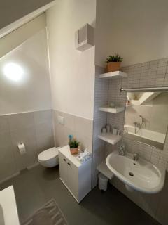 Apartmán v podkroví Malý Paríž - Trnava - 1