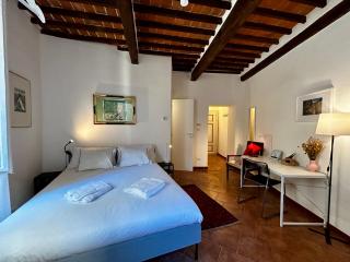 Palazzo Palloni Boutique Apartment - Sorano - 8