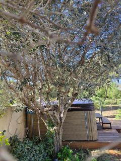 aqueduct villa cesarea jacuzzi - 6