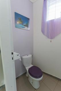 Studio Les Colibris - Sainte-Anne - 1