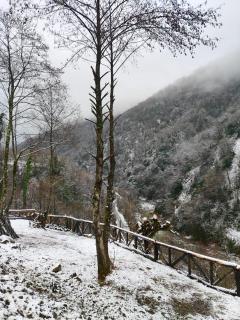 Villa lugela - - 7