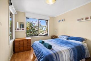 View from the Hill - Lorne - 2