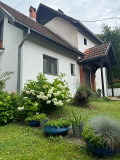 Privatni smeštaj Sobe Branković - Gornja Toplica - 0