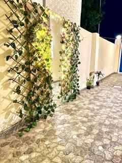 Dalida House - Dahab - 2