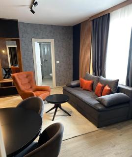 Friends Lux apartment Kopaonik - Kopaonik - 8