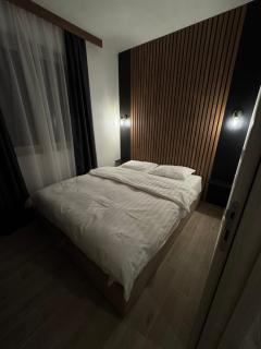 Friends Lux apartment Kopaonik - Kopaonik - 4