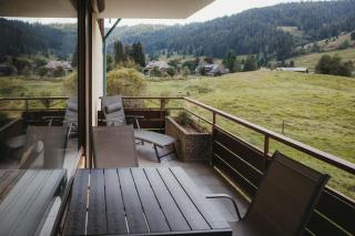 Schwarzwald Loft Panoramablick Menzenschwand - 1