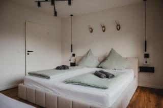 Schwarzwald Loft Panoramablick Menzenschwand - 6