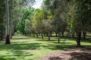 Clarence River Retreat - Oceanstays - Farmstay & Jetty - - 3