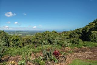 Mountain Retreat with ocean views and fireplace - Wolvi - 8
