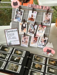 小貓兩三隻民宿 Kittens B&B 貓咪民宿&寵物友善 - 7