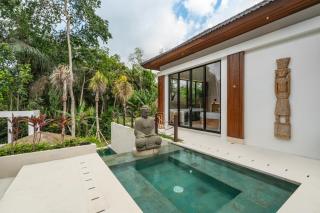 Villa Calvina by BaliSuperHost - Ubud - 1