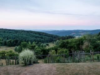 Gîte confortable avec jardin, cheminée, et wifi à Montarcher - FR-1-496-11 - Montarcher - 4