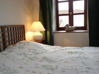 Charme Rural avec Piscine Privée et Animaux Acceptés - FR-1-496-200 - 7