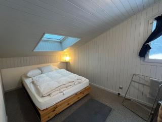 Duplex moderne à Châtel, 2 chambres, garage privé - FR-1-198-269 - Châtel - 4