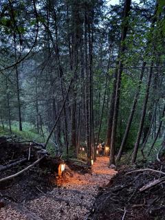 Butterfly Cottage - Glamping - 5