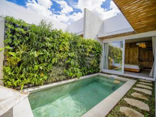 Namera Hidden Moon - 1 BR Brand New Villa - Kerobokan - 7