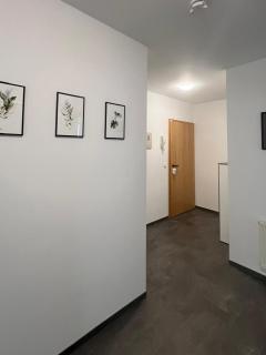 PV Apartment - Eisenach - 7