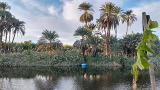old Nile rooms - 7