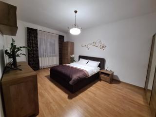 Guesthouse Citycenter - Craiova - 7