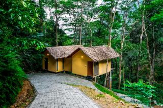 Song Of The Trees - Idukki - 6