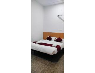 Hotel Shree, Jaipur - Jaipur - 7