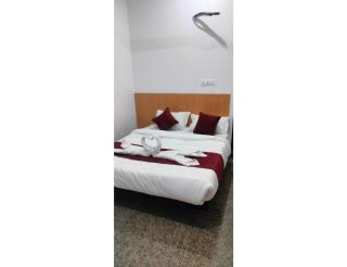 Hotel Shree, Jaipur - Jaipur - 3