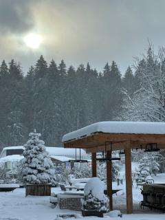 Rooms Hotel Kokhta Apartments - 0