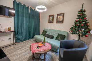 Le 1521 STUDIO - Sélestat - 1