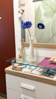 Komfortables Appartement/Garconniere in Graz für Urlaub und Geschäftsreisen - Graz - 3