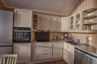 Perfect Base for Skiing and local Events - Beitostøl - 5