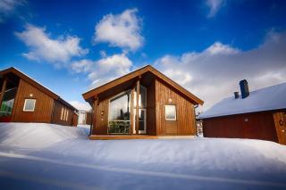 Perfect Base for Skiing and local Events - Beitostøl - 9