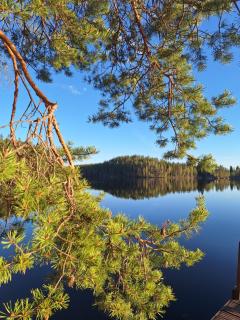 Lumous Forest Hut, Luontovire - Hankasalmi - 7
