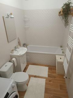 Daniela Apartment Brasov - Braşov - 1