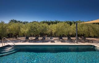 Modern villa zara with pool in Visnjan - 3