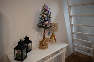 Apartament dwupoziomowy z kominkiem - Zielona Góra - 5
