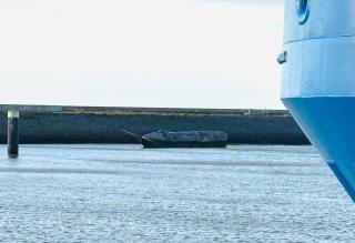 Homestay Harlingen - Harlingen - 3