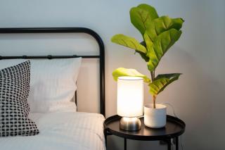 Spacious and charming 2 bedroom Rosebery Apartment - Sídney - 1