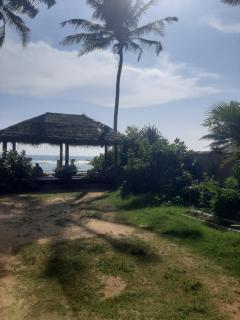Tahini and Friends Surf, Yoga & Wellness - Ahangama - 1