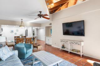 Sandpiper on the Ocean - 7