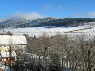 Penzion pod Vlekem Dolní Morava - Dolní Morava - 8