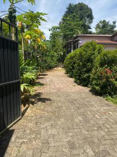 Just Now Inn Sinharaja - - 9