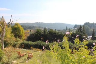Mas Chamarel à Sanary-sur-Mer au milieu des vignes et oliviers - Sanary-sur-Mer - 6