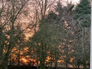 Aldercarr Hall - Attleborough - 5