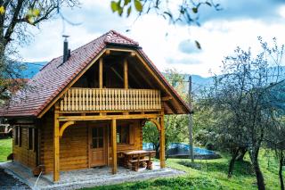 Apartma Brunarca - Borovnica - 5