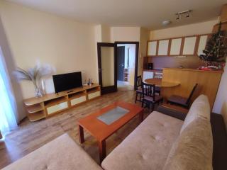 Snow Lodge Mountain view - Bansko - 4