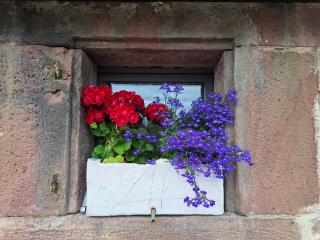 Ausblick Maisenbach, Talstraße - 6