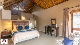 Zebula Golf and Wildlife Estate - Africa Breathing Pax 8 - Moi Signature Exclusive Villa - 4