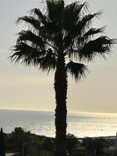 Escapade - Sète - 0